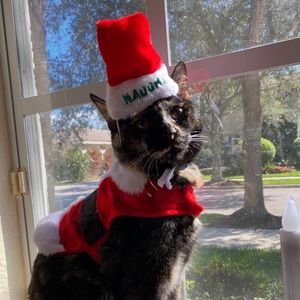 Meet your Posher, Patrick